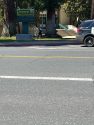 Sonora Lockdown photo from Taylor Mellott