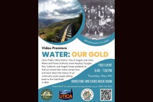 Utica Video Premiere Flyer