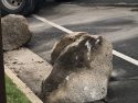 Crash Impacts Traffic On Mono Way