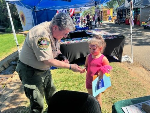 CCSO volunteer working the fair