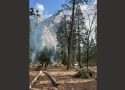 NPS photo of firefighters in the El Capitan Picnic Area igniting multiple burn piles.