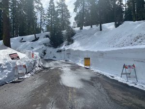 Forest Road Closures due to storm damage