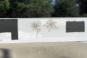 Graffiti at the Mariposa skate park