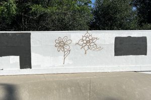 Graffiti at the Mariposa skate park