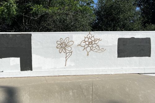 Graffiti at the Mariposa skate park