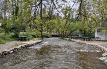 High water at Murphys Creek