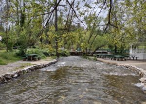 High water at Murphys Creek