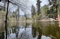 High waterways in Yosemite National Park