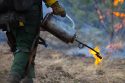 Prescribed Burn