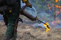 Prescribed Burn