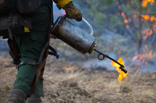 Prescribed Burn