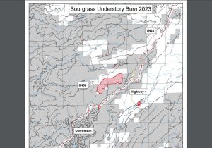 Sourgrass Understory Burn