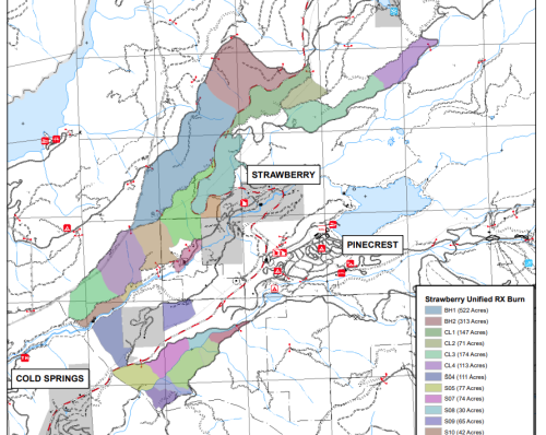 Burning Planned In Strawberry
