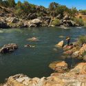 TCSO swift-water rescue team training