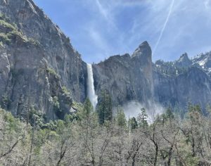 Yosemite National Park