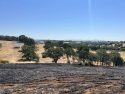 Fire in the Wallace area of Calaveras County