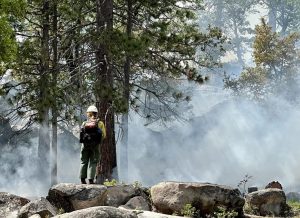 Prescribed Burning In Stanislaus National Forest