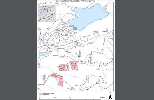 Experimental Forest blocks In Red
