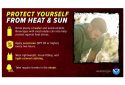 Hot temperatures on horizon
