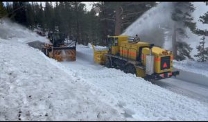 Highway 108 Sonora Pass Clearing