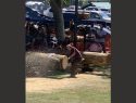 Tuolumne Lumber Jubilee - Courtesy Image