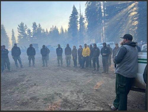 Bone Fire Planning