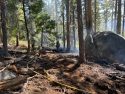 Bone Fire in Stanislaus National Forest