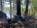 Bone Fire in Stanislaus National Forest
