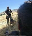 Daniel Kapumau MCSO arrest with help from K9 unit