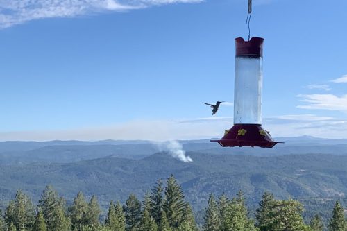 Knight Fire burning near Jupiter in Tuolumne County