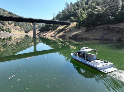 New Melones Reservoir Search