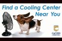 Pet cooling center flyer