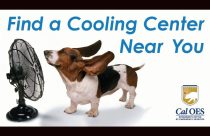 Pet cooling center flyer