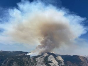 Pika Fire In Yosemite