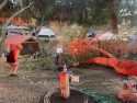 Tree crashing down on campers in Calaveras County