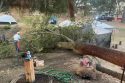 Tree crashing down on campers in Calaveras County
