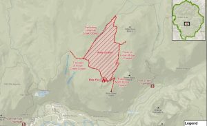 Pika Fire In Yosemite