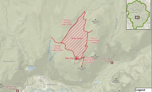 Pika Fire In Yosemite