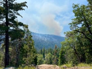Bone Fire Update