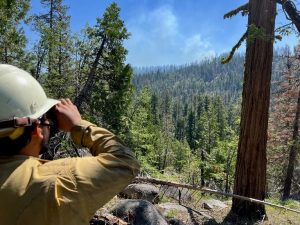 Bone Fire Burns 425 Acres in Stanislaus National Forest