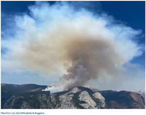 Pika Fire Update