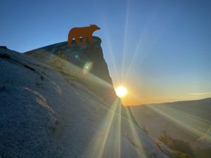 Bears Skip Half Dome Permit Requirements