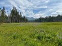 Ackerman Meadow in Yosemite National Park