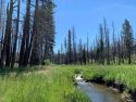 Ackerman Meadow in Yosemite National Park