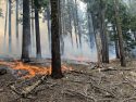 Dry Meadow Prescribed Burn in STF