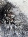 Ticks and flees found on dogs seized on Mariposa County property