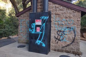 Vandals spray paint graffiti on Riverside Day Use Facility on Stanislaus National Forest