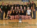 Sonora Athletic 2023 Hall of Fame 2014 Volleyball Team D-4 State Champions