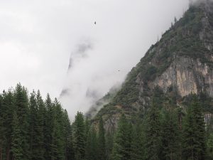 Visit Tuolumne County And Yosemite Climbing Association Help Clean Up Park
