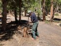 Fence Creek Campground rehabilitation after being closed for six years due to fires